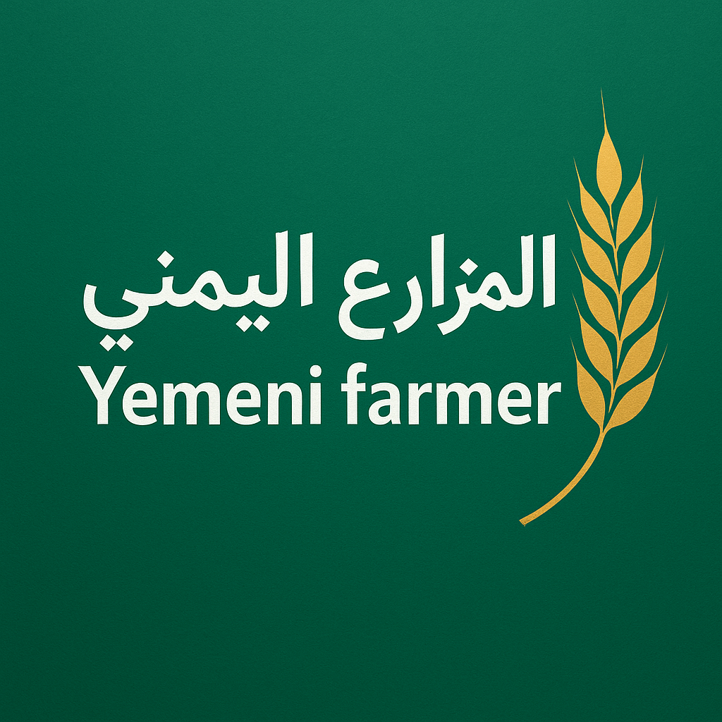 شعار التطبيق